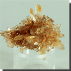 creedite